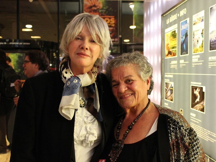 COP 21_diane_dufresne_5_crop