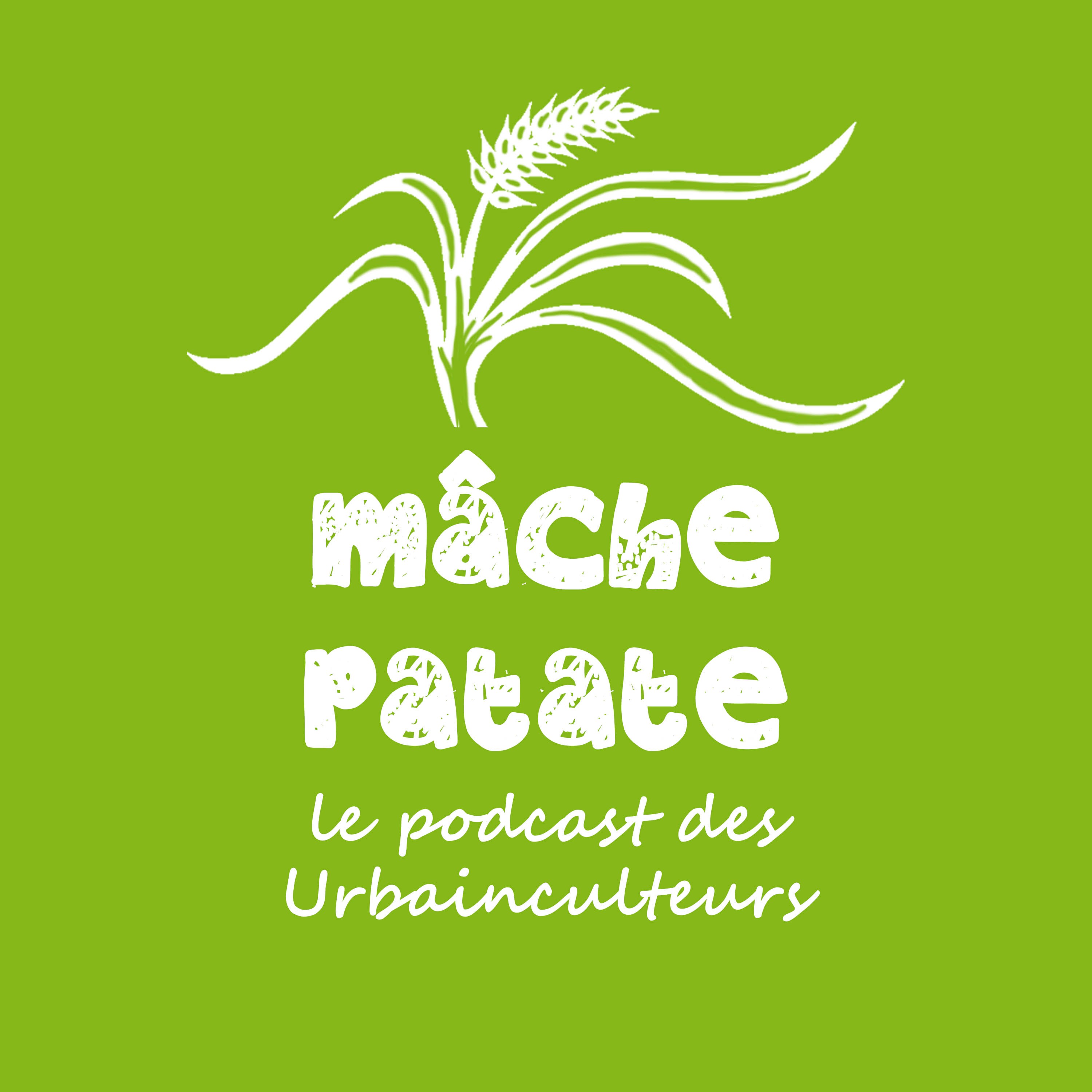 Balados à écouter en faisant ses semis