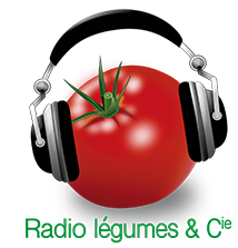 logo_s